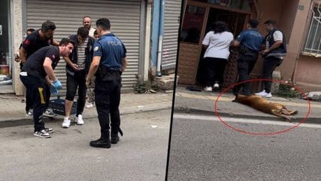 Kavga ihbarına gelen bir polisi kendi ısırdı, diğerini köpeğine ısırttı!