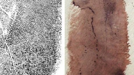 Garlasco, super-perizia su 78 impronte: gli investigatori sulle orme del killer, una traccia decisiva
