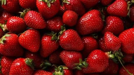 Food expert's simple hack to keep strawberries fresh for 'the next three weeks'