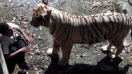 Haunting last photos of people seconds before animals mauled them to death
