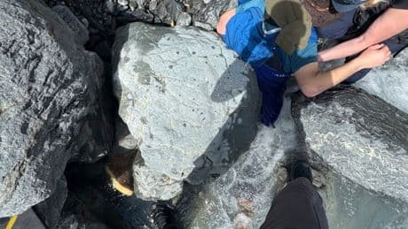Alaska man unscathed after being pinned for three hours by 700-pound boulder in glacier creek