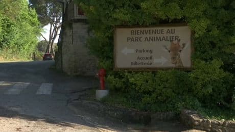 Impact de foudre à la Barben: qu'est ce que "l'effet flash" qui a blessé plusieurs personnes au sein du zoo?
