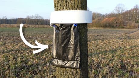 Achtung, schwarzer Beutel am Baum: Machen Sie einen großen Bogen