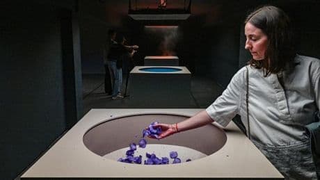 „Welt wurde schwarz-weiß“ – Kunst macht Corona-Geruchsverlust erlebbar