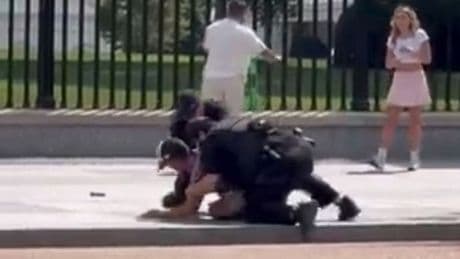 Moment police tackle man to ground and arrested him in front of White House