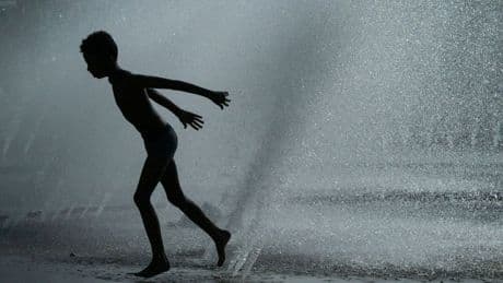 Wetter: Hitze in Bayern: Badetote, leidende Bäume und mehr Hitze