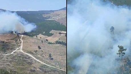 Manisa'da orman yangını! Havadan ve karadan müdahale ediyor