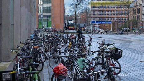 Man (55) bijt agent in arm bij aanhouding: ’Onacceptabel’