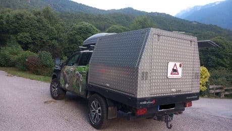 L'orsa JJ4 trasferita in Germania
