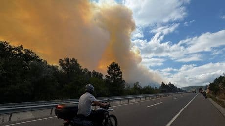 Bolu'da ormanlık alanda yangın çıktı