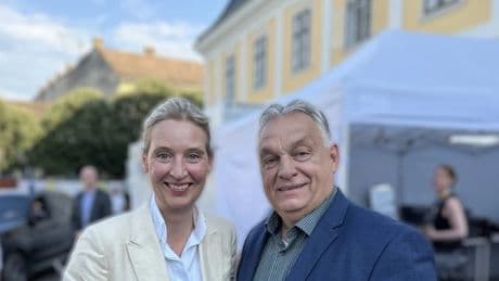 Geld und Netzwerke: Der Ehrgeiz der AfD