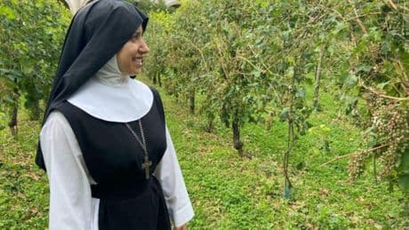 Suore in fuga dal convento, spuntano le carte. La lettera a Papa Francesco: «Madre Pereira tira i capelli alla consorella»