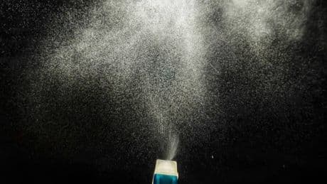 Terapia e spray: come difendersi dalle zanzare Culex