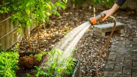 Hegen und pflegen: Gartenarbeit im Mai: Diese Tools für Beete und Rasen sind jetzt wichtig