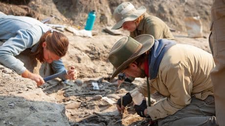 Dino-tourism: How TV revival could ignite a new travel craze