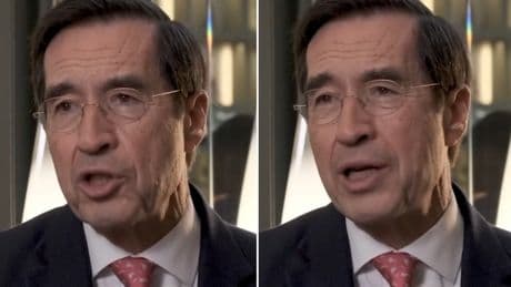 Mario Alonso Puig, neurocirujano: ''La auténtica grandeza no se cifra en dólares, coches o títulos, sino en la energía vital que entregas para crear, sanar e inspirar''