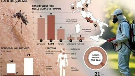 West Nile, allerta a Latina: dall'emergenza ad Anzio ai casi raddoppiati in provincia nelle ultime 24 ore