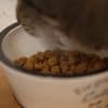 Comment sont fabriquées les croquettes des animaux de compagnie ?