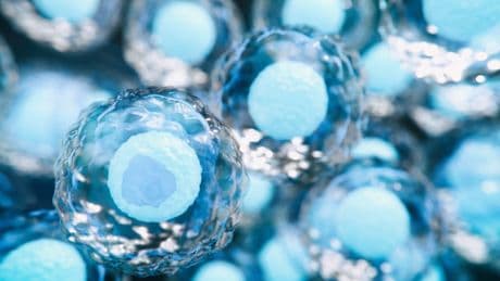 Tech execs are paying top dollar to breed smarter babies, report claims