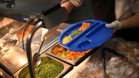 Free school meals expanded to over 500,000 kids in families on Universal Credit