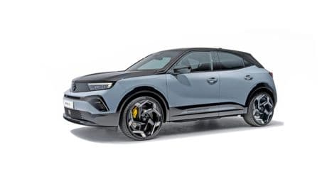 Opel Mokka GSE: Wald und Wiesen Wiesel