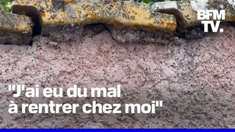 À Saint-Priest, des jardins et maisons sont envahis par les punaises des champs