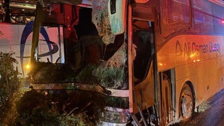 Yolcu otobüsü refüjdeki ağaçlara çarptı: 1 ölü, 13 yaralı