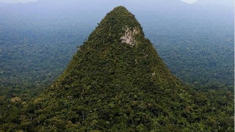 Hallaron una misteriosa montaña en medio del Amazonas: los científicos debaten su origen