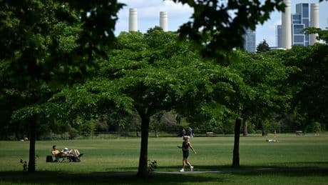 Chaleur, sécheresse : au Royaume-Uni, le printemps 2025 bat des records