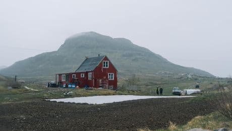 Au Groenland, dans les fermes de l’extrême, les navets du courage