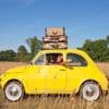Niet zoenen op de achterbank en niet toeteren in de hoofdstad: voor deze rare regels moet je opletten tijdens je volgende autovakantie