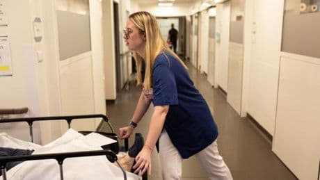 Canicule en France : presque 300 passages quotidiens aux urgences au pic de la chaleur en août