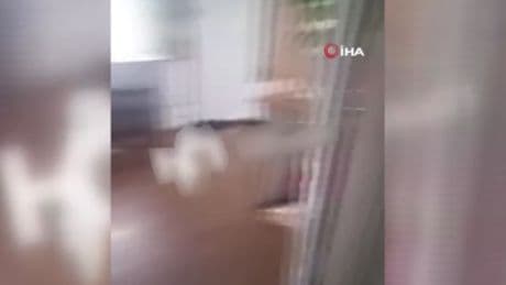 Rusya'nın doğusunda 8,8'lik deprem anı kamerada