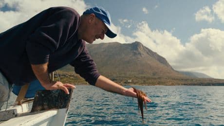 “Octopus”, “Pour toujours” et Cameron Winter : à découvrir cette semaine