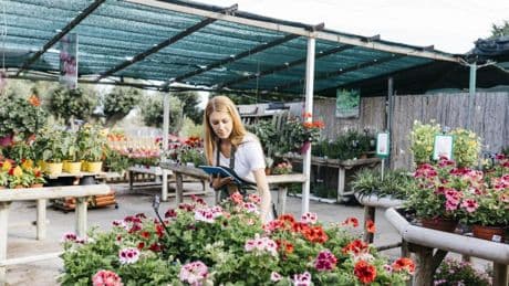 ‘Plan to modernise’ as garden centre in same family for five generations sold