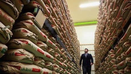 Le gouvernement japonais dans le piège de la hausse des prix du riz