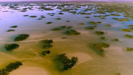 'Doñana, donde el agua es sagrada', un cautivador crisol de la naturaleza que se convierte en mazazo cruel