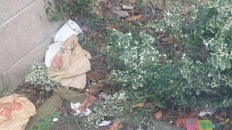 Wheelie bin lid locks could help tackle West Lothian litter problem