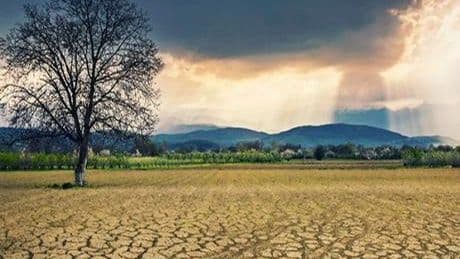 BM'den uyarı: İklim değişikliği 2050'ya kadar 80 milyon kişiyi açlığa itebilir