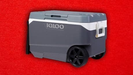 Urgent recall for nearly 1,200,000 cool boxes in US over fingertip amputation injuries