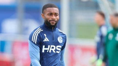 Kommentar zum Hunde-Skandal auf Schalke - Wie kann ein Mensch so herzlos sein?