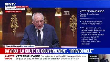 "La chute irrévocable de ce gouvernement est annoncée depuis la première minute de son existence", assure François Bayrou