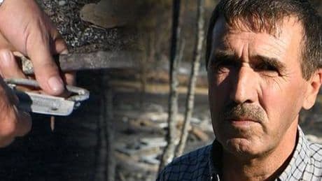 150 kovan dolusu arıyı bir günde kaybetti: Tek bir arım bile kalmadı