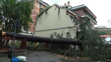 Violento temporale a Monza: un albero cade su una casa e distrugge la facciata