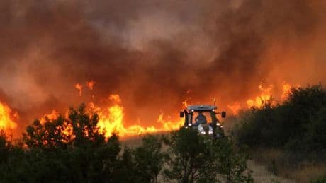 Canicule et incendies de forêt : la Bulgarie “s’embrase” à son tour
