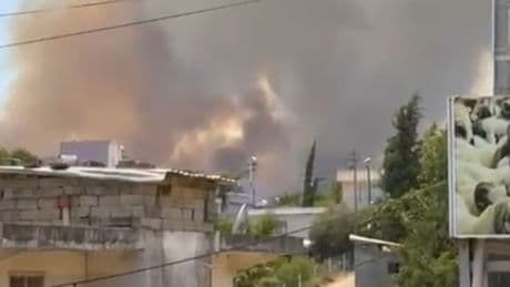Adana'da orman yangını