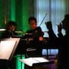 Vereine stellen sich vor: Collegium musicum: Das größte Orchester Potsdams führt Menschen zusammen