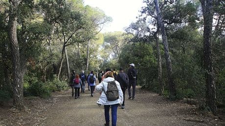 FotoDocs: Ruta por el parque de Collserola