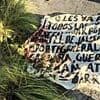 Six severed heads are found lined up on a road with sinister message in latest horrific drug cartel bloodbath