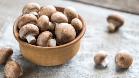 Champignons lagern, putzen und zubereiten: Das sind häufige Fehler